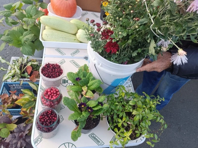 Сегодня на ярмарке!