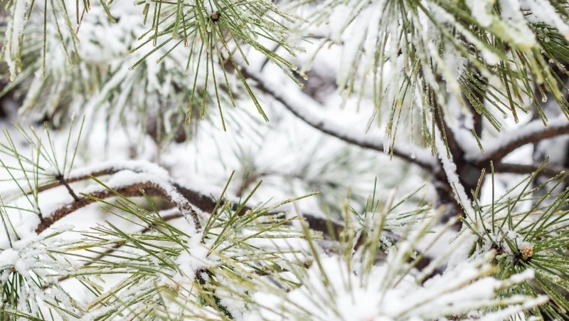 Церковный праздник 19 февраля 2024 года: что нельзя делать в этот день