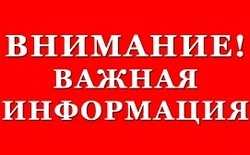 На Сахалине обновили сроки охоты на бурого медведя