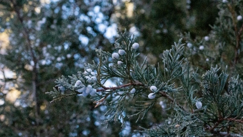 Народные приметы на 23 марта 2024 года — что нельзя делать в этот день