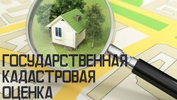 На территории Сахалинской области продолжается подготовка к проведению кадастровой оценки участков