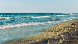 Теплая погода с кратковременными дождями ожидается в Сахалинской области 5 июля