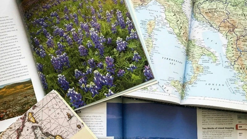 Тест по географии: у вас богатые знания о мире, если наберете 7/7 