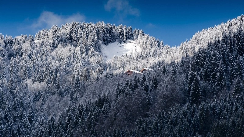 Церковный праздник 14 декабря 2023 года: что нельзя делать в этот день, приметы