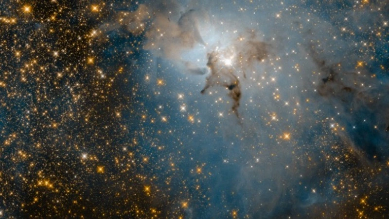 Гороскоп на 15 февраля 2024 года: важные советы астрологов