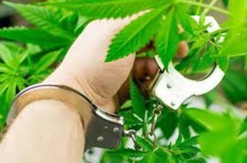 Важная информация для землепользователей!