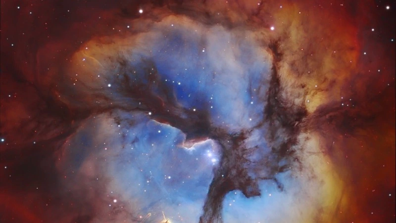 Гороскоп на 14 марта 2024 года: важные советы астрологов