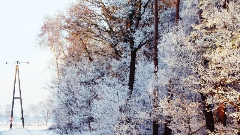 Умеренный снег и порывистый ветер ожидаются на Сахалине 20 февраля