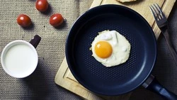 Можно ли каждый день есть яйца: советы диетологов
