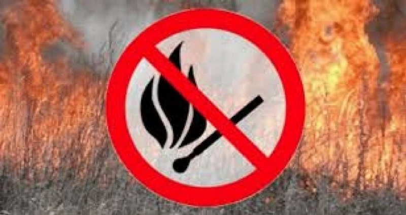 Соблюдайте требования правил пожарной безопасности в лесах!