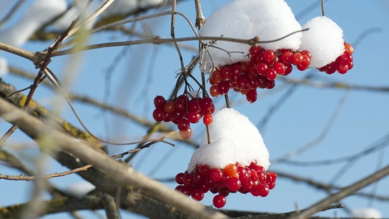 Церковный праздник 11 декабря 2023 года: что нельзя делать в этот день, приметы