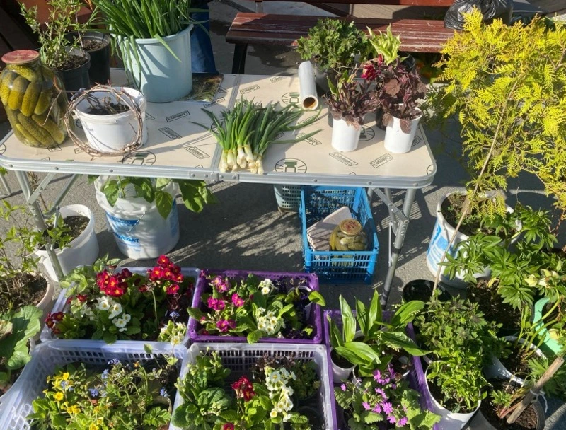 Сегодня на ярмарке!