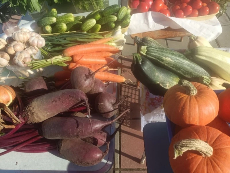 Сегодня на ярмарке!