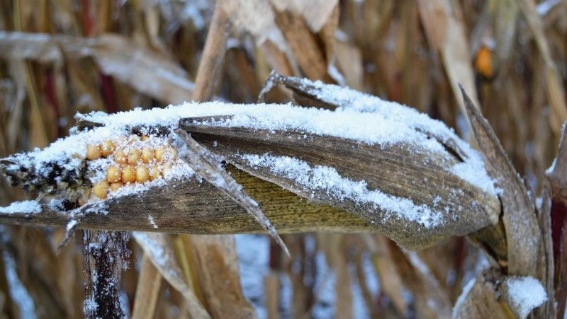Церковный праздник 15 декабря 2023 года: что нельзя делать в этот день, приметы