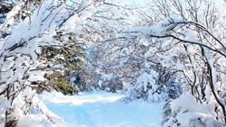Небольшой снег и потепление ожидаются на Сахалине 14 февраля