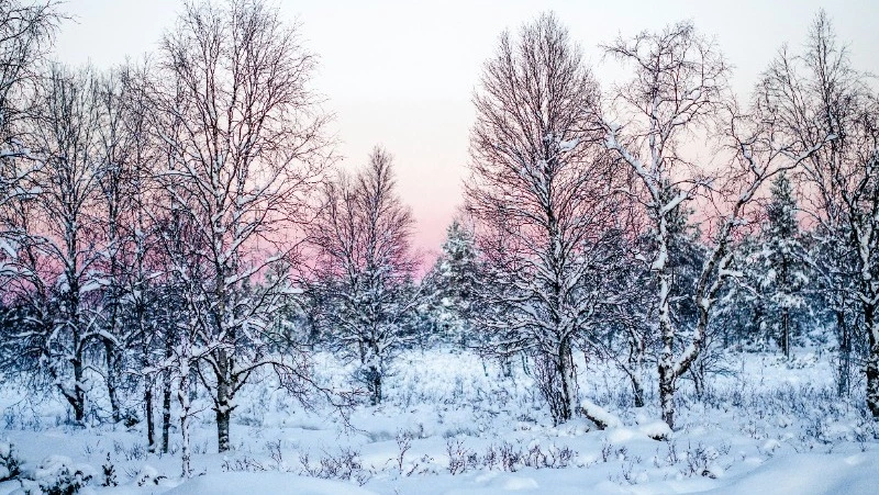 Народные приметы на 11 февраля 2024 года — что нельзя делать в этот день