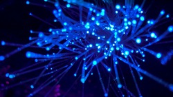 4 апреля 2024 года: какой сегодня праздник?