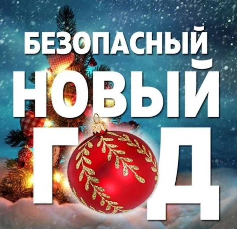 Новогодние праздники. Памятка антитеррористической  безопасности