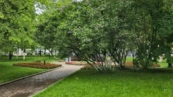 Теплая погода порадует жителей Сахалинской области 27 июня