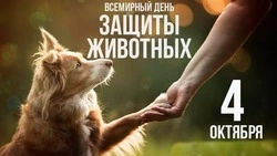Всемирный день защиты животных 2024: красивые открытки