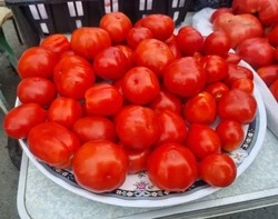 Приглашаем на традиционную пятничную ярмарку!