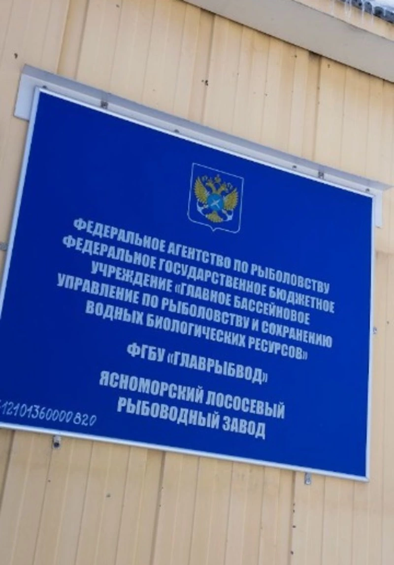 Ясноморский лососевый рыбоводный завод ФГБУ «Главрыбвод» выражает благодарность