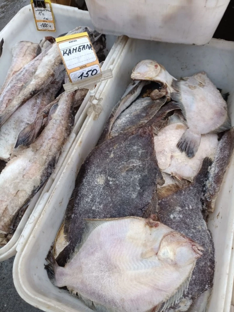 Сегодня на ярмарке!