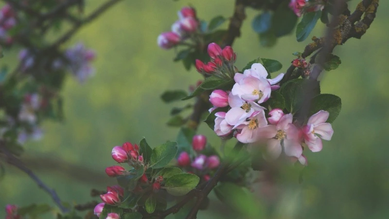 Народные приметы на 12 мая 2024 года — что нельзя делать в этот день