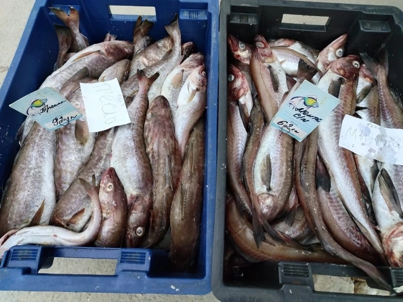 Сегодня на ярмарке!