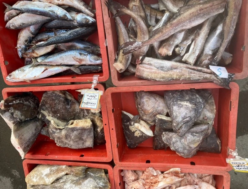 Сегодня на ярмарке!