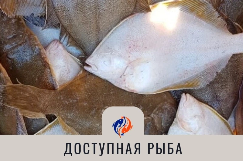 Программа "Доступная рыба" продолжает набирать обороты