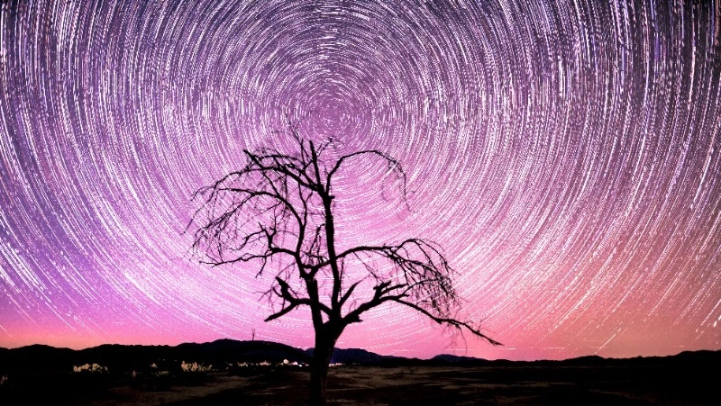 Гороскоп на 20 февраля 2024 года: важные советы астрологов