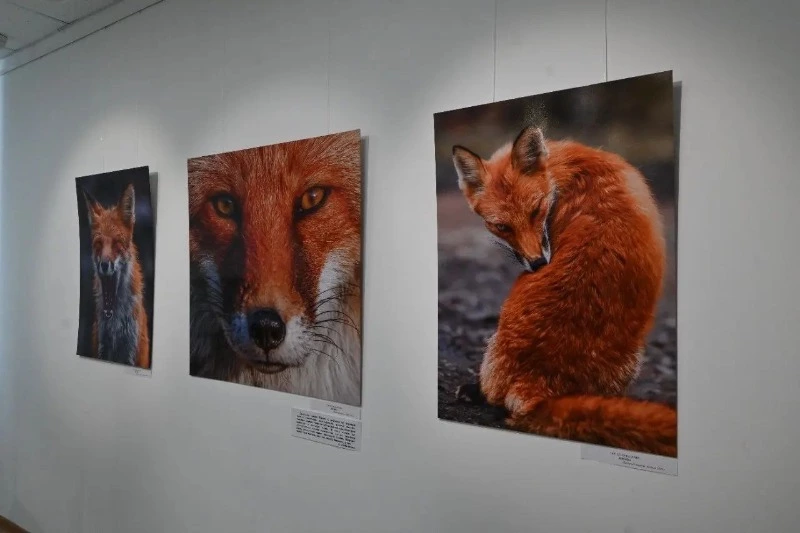 «Место притяжения – Невельск»