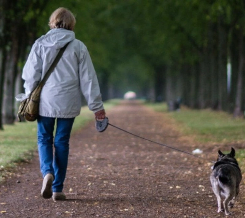 Выгуливаем собаку правильно