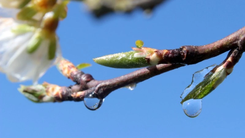 Северо-западный ветер и до -5 градусов: погода на Сахалине 29 февраля
