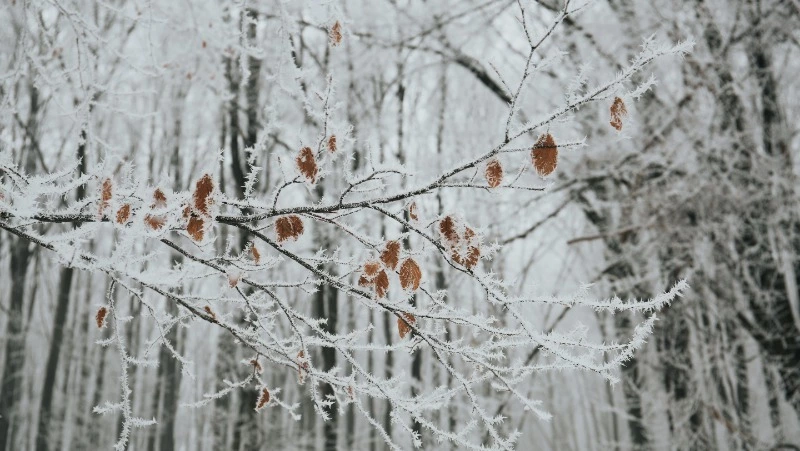 Церковный праздник 14 февраля 2024 года: что нельзя делать в этот день