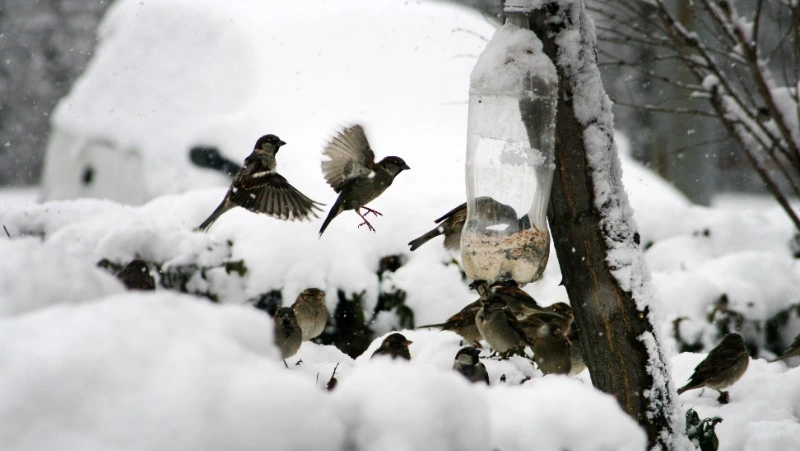 Церковный праздник 10 декабря 2023 года: что нельзя делать в этот день, приметы