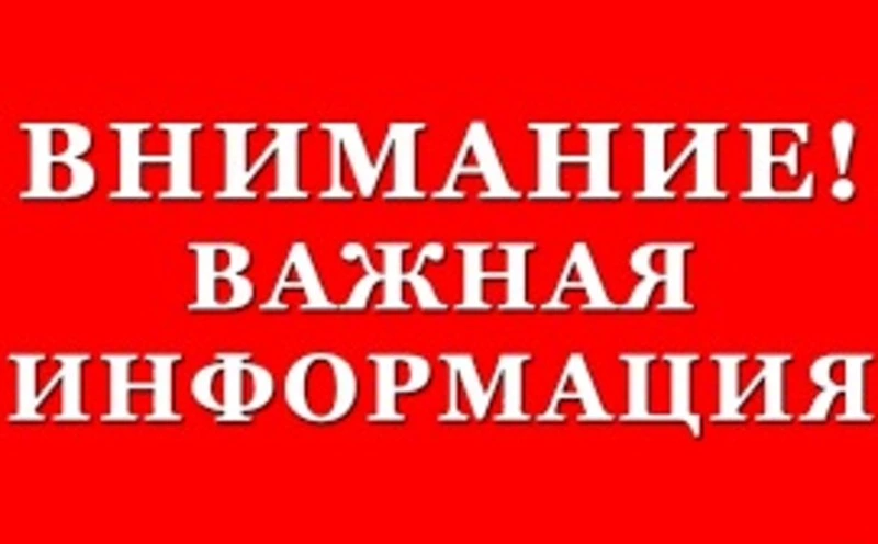 На Сахалине обновили сроки охоты на бурого медведя