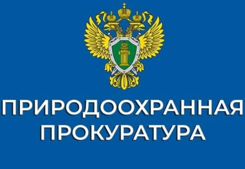Сахалинская межрайонная природоохранная прокуратура разъясняет.