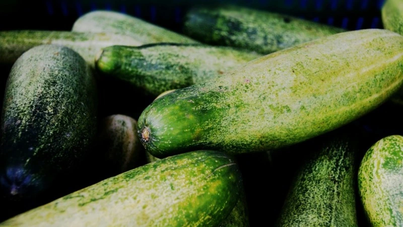 Народные приметы на 5 июня 2024 года — что нельзя делать в этот день