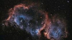 Финансовый гороскоп на неделю с 12 по 18 февраля для всех знаков зодиака