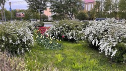 Ветреная и теплая погода ожидается в Сахалинской области на предстоящей неделе