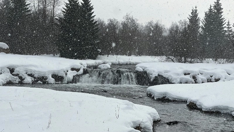 Народные приметы на 26 марта 2024 года — что нельзя делать в этот день