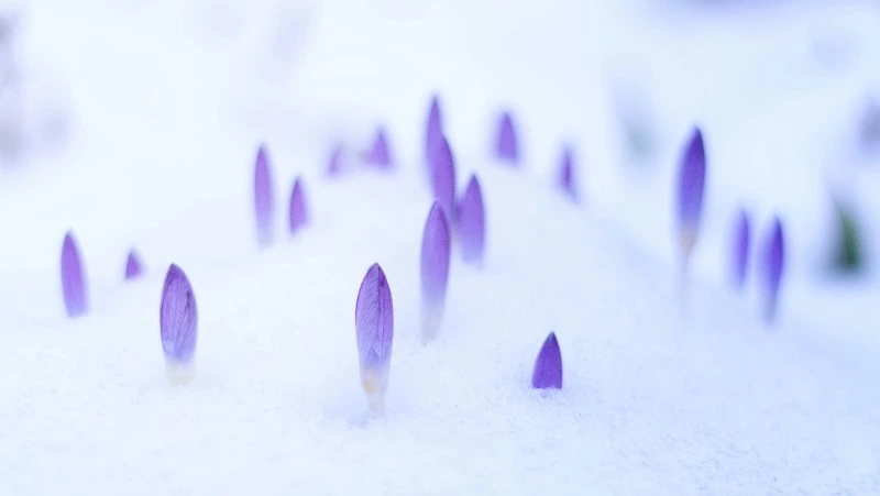 Церковный праздник 20 февраля 2024 года: что нельзя делать в этот день