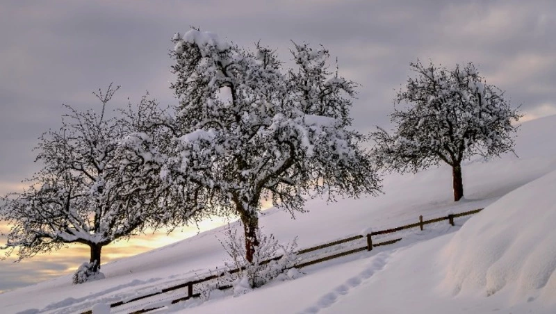 Церковный праздник 8 февраля 2024 года: что нельзя делать в этот день