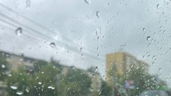 Синоптики пообещали небольшой дождь и тепло в Сахалинской области 26 июля