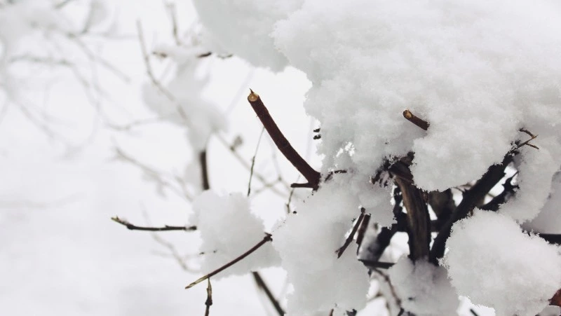 Народные приметы на 9 января 2024 года — что нельзя делать в этот день