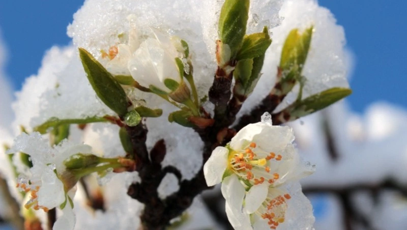 Народные приметы на 10 марта 2024 года — что нельзя делать в этот день