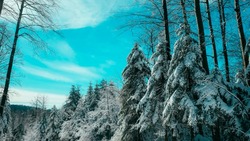 Озвучен прогноз погоды в Сахалинской области на 7 февраля