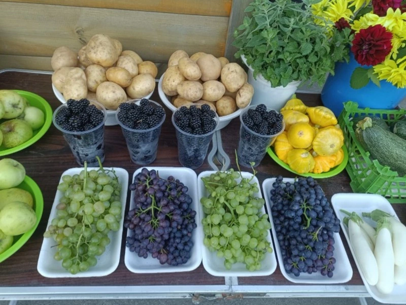 Сегодня на ярмарке!